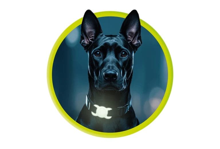 Obojek pro mazlíčky s držákem na AirTag Mobile Origin - svítící zelená - náhled 3