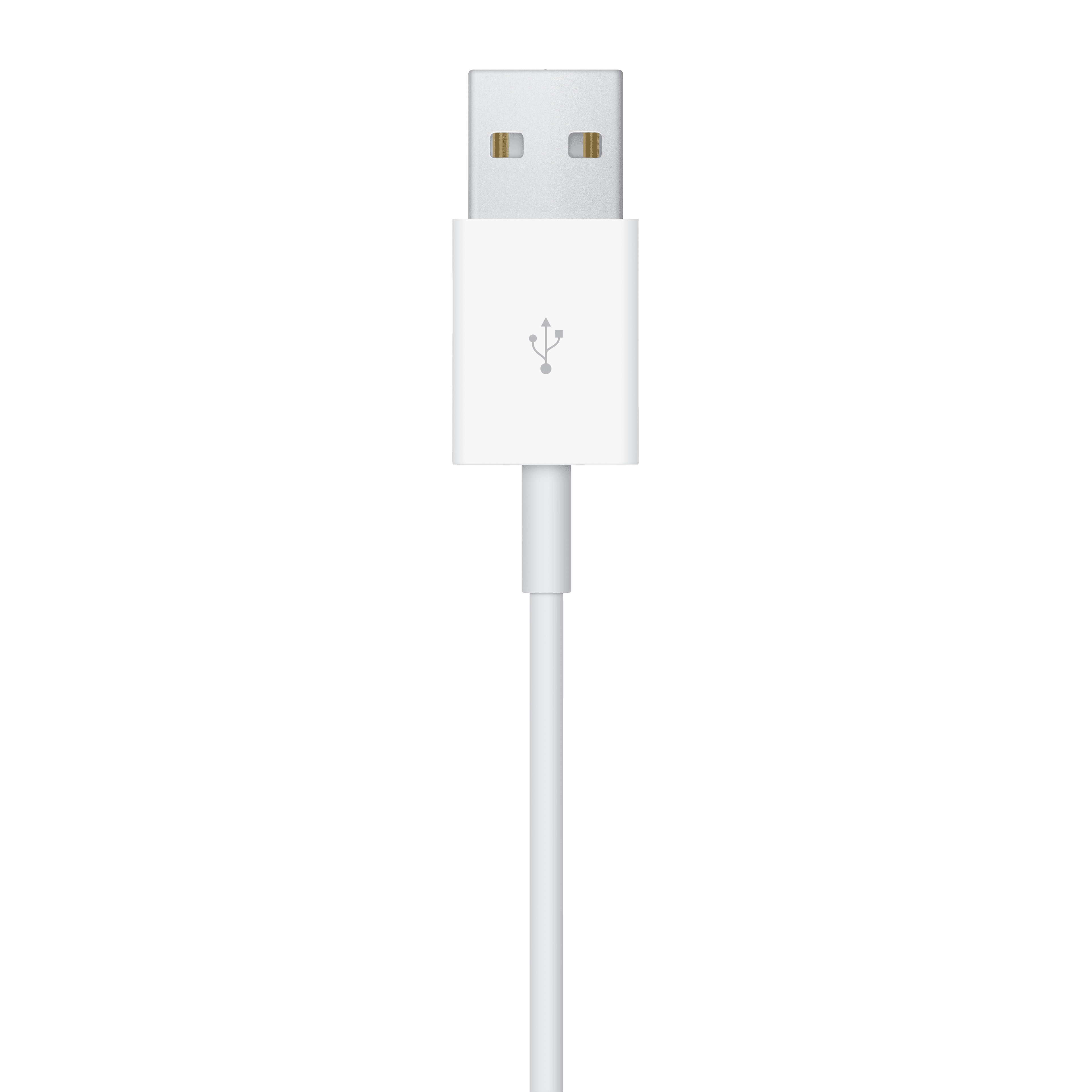 Apple Magnetický rychlonabíjecí USB-A kabel k Apple Watch (1 m) - náhled 4
