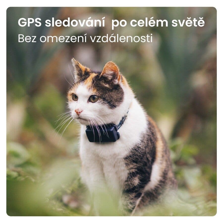 GPS lokátor pro kočky Tractive GPS CAT Mini - tmavě modrý - náhled 3